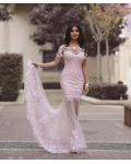 Long Sleeve Illusion Neck Long Blush Tulle Sheer Back Celebrity Prom Dress 