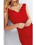 Beautiful Red Lace Appliques Mermaid Long Tulle Prom Dress