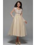 Long Sleeve Lace Tea Length A-line Champagne Tulle Short Prom Dress with Ribbon 
