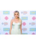 Kelsea Ballerini Country Music Awards Long Split Sage Chiffon Prom Dress 