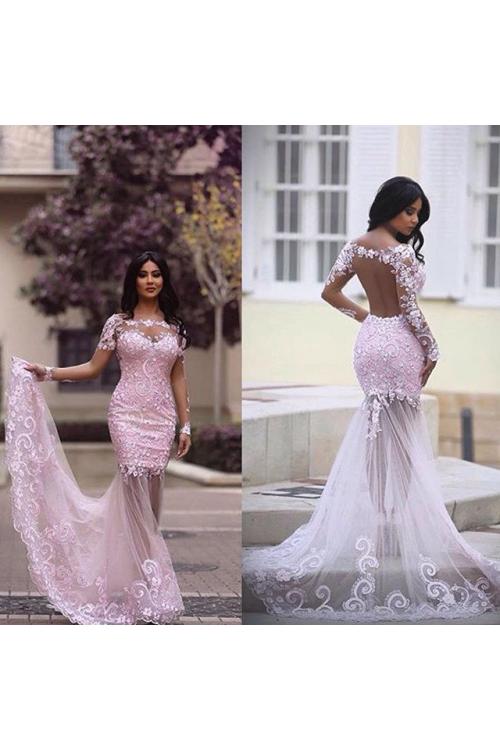 Long Sleeve Illusion Neck Long Blush Tulle Sheer Back Celebrity Prom Dress 