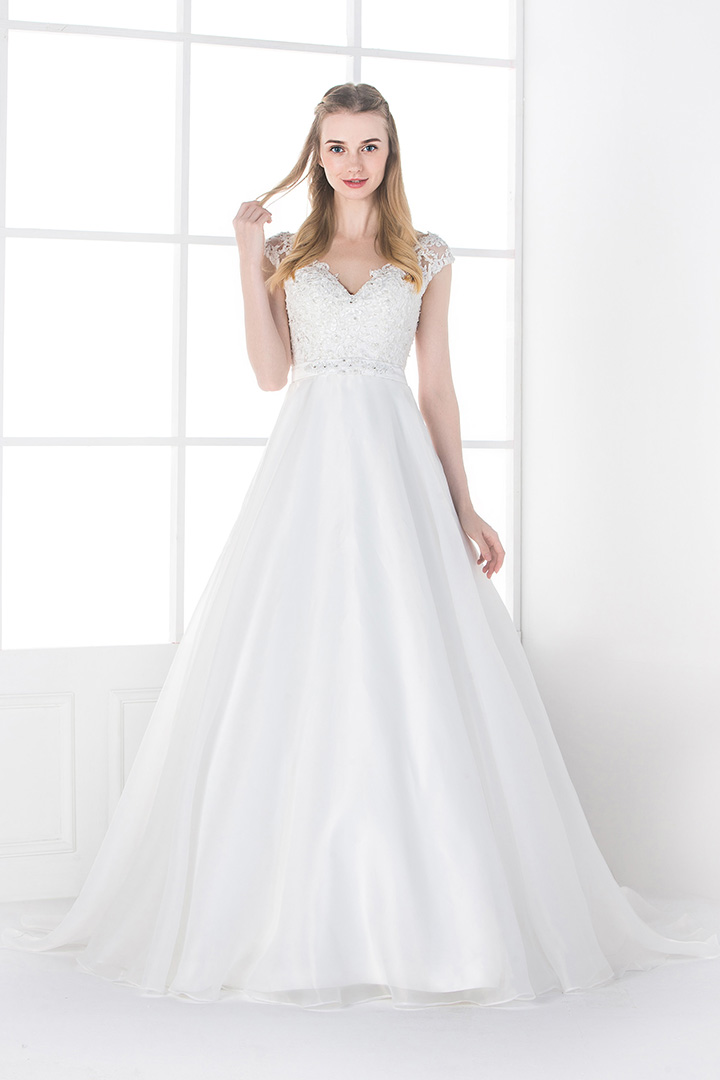 A-line V-neck Lace Long Organza Wedding Dresses